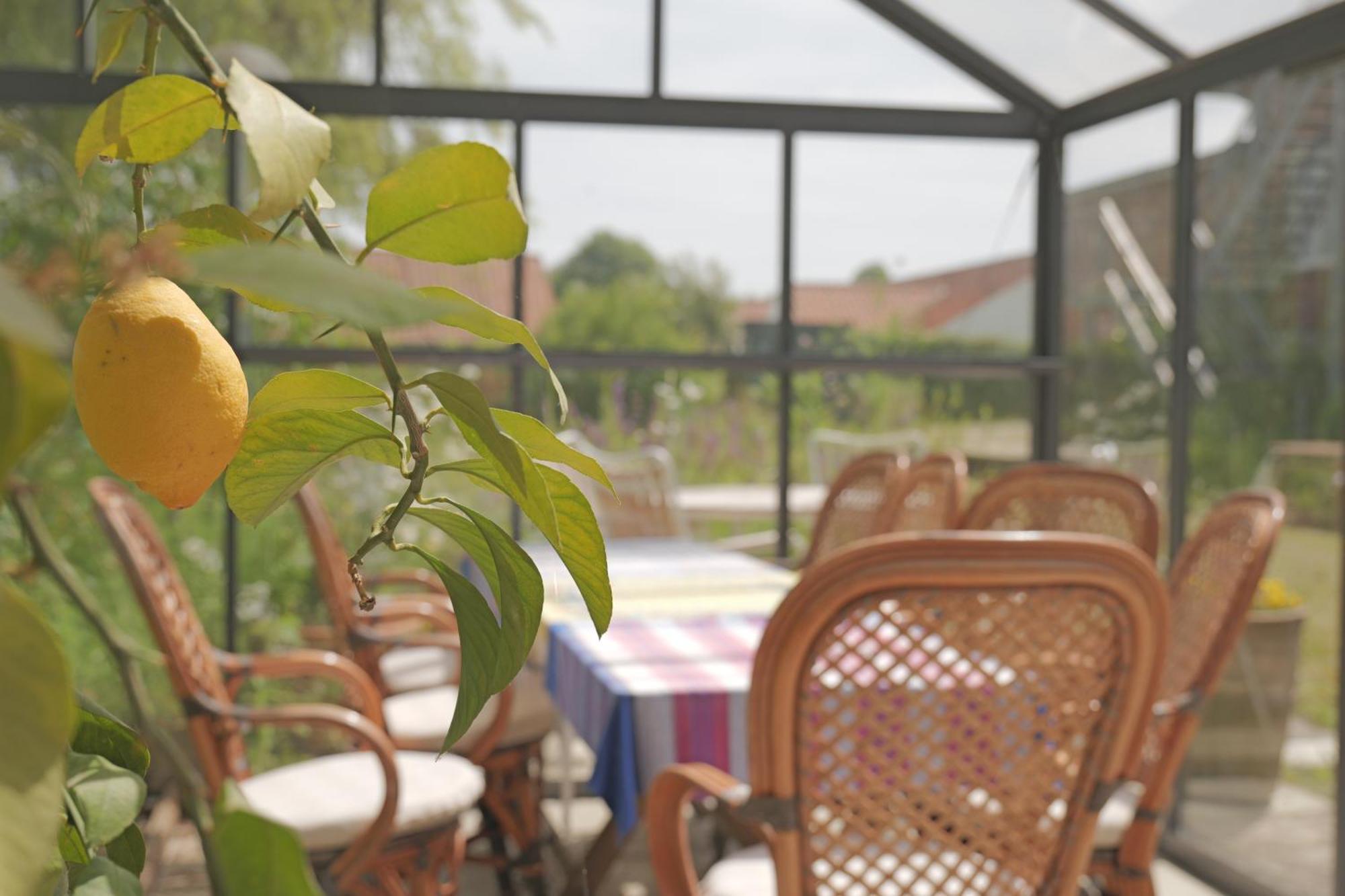 Huset I Hejls Bed & Breakfast Ngoại thất bức ảnh